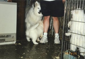 The first meeting
