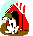 Army dog