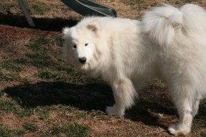 Feb. 2011