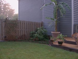 Yard