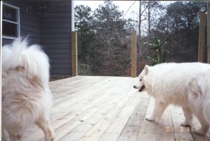 Decking