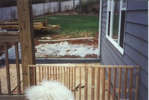 The Deck