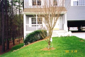Front Yard
